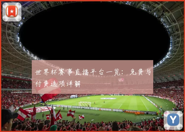 世界杯赛事直播平台一览：免费与付费选项详解