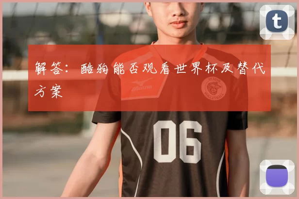 解答:酷狗能否观看世界杯及替代方案