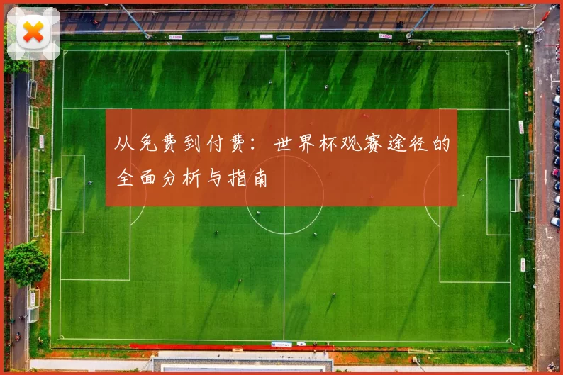 从免费到付费：世界杯观赛途径的全面分析与指南