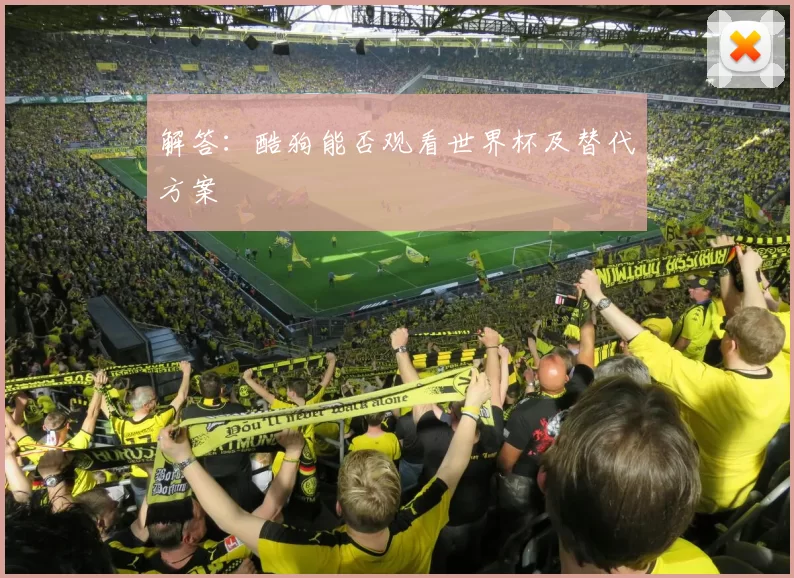 解答:酷狗能否观看世界杯及替代方案