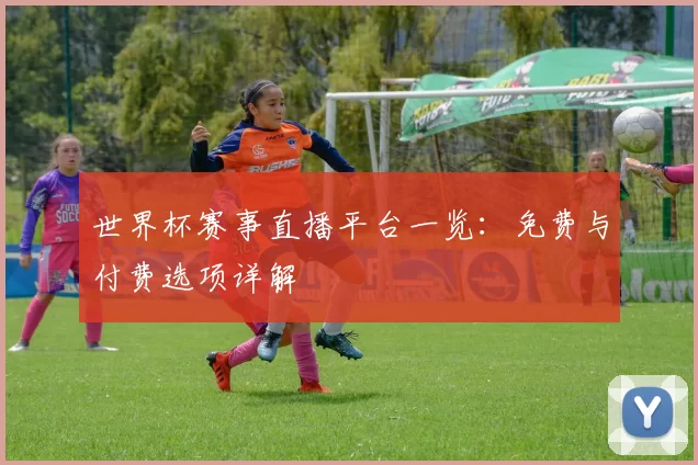 世界杯赛事直播平台一览:免费与付费选项详解